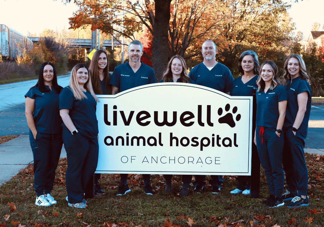 Livewell Animal of Anchorage team around the location sign.