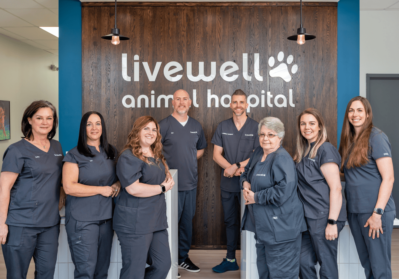 Entire staff of Livewell Animal Hospital of Anchorage gathered around receptionist area posing
